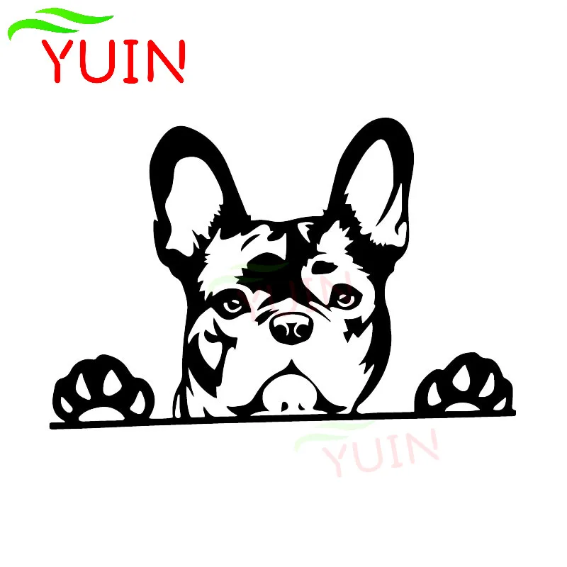 Görüntü /Yuin-yaratıcı-pençe-fransız-bulldog-aplike-moda_imgs/170-1_uploads.jpeg