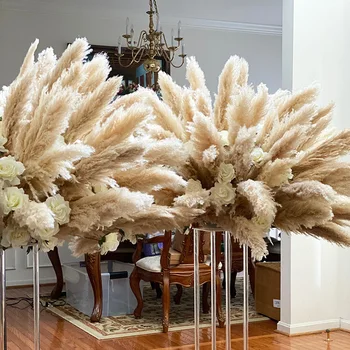 10 adet 120 cm Kabarık Büyük Pampas Çim Kurutulmuş Çiçekler, uzun Boylu Doğal Driy Pampas Noel Ev Boho Dekor DIY Düğün Dekorasyon
