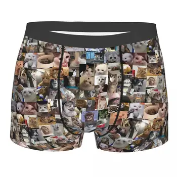 Ultimate Üzgün Kediler Meme Külot Pamuk Külot erkek iç çamaşırı Rahat Şort Boxer Külot