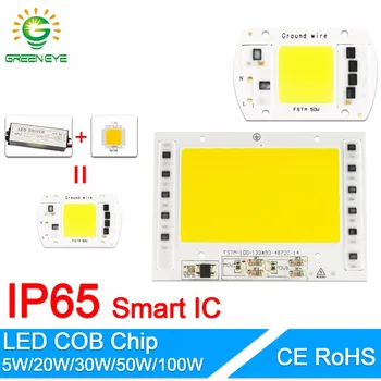 GreenEye COB LED Lamba Çip 5W 20W 30W 50W 100W led ampul lamba Girişi Akıllı IC Sürücü 220V Soğuk Sıcak Büyümek DIY LED Projektör
